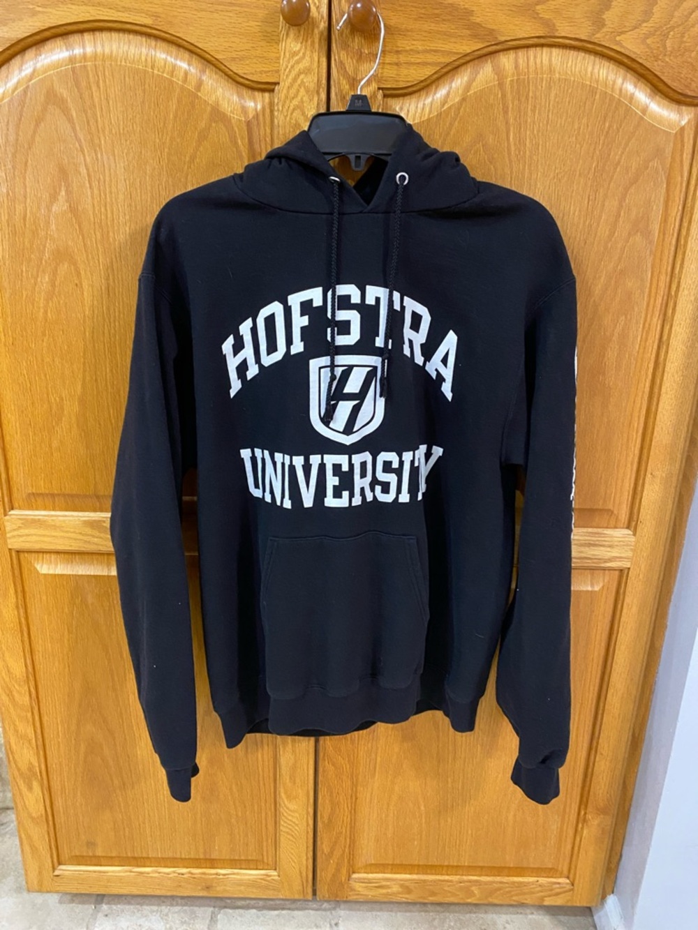 Champion Brand Hofstra University Pullover Hoodie. Size medium.